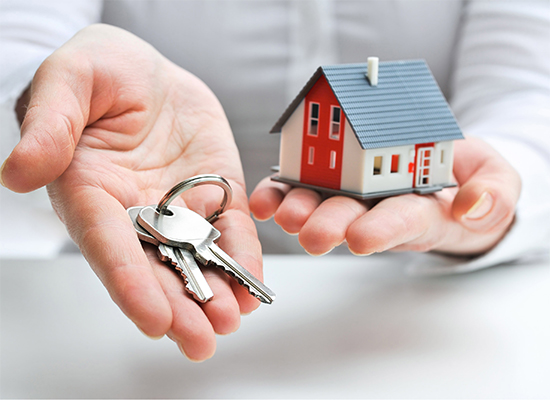 Real Estate Services